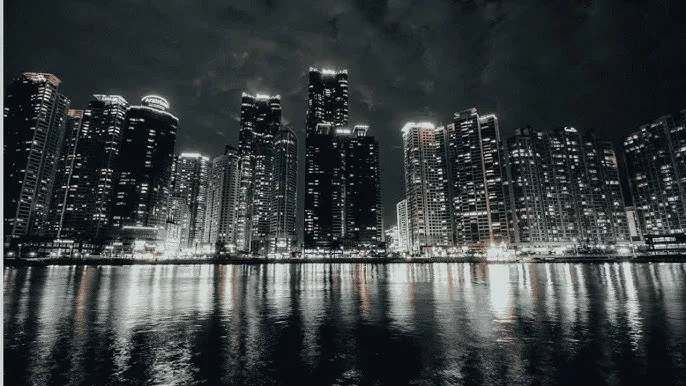 拆弹专家在线观看 - 城市之光：霓虹背后的人间烟火